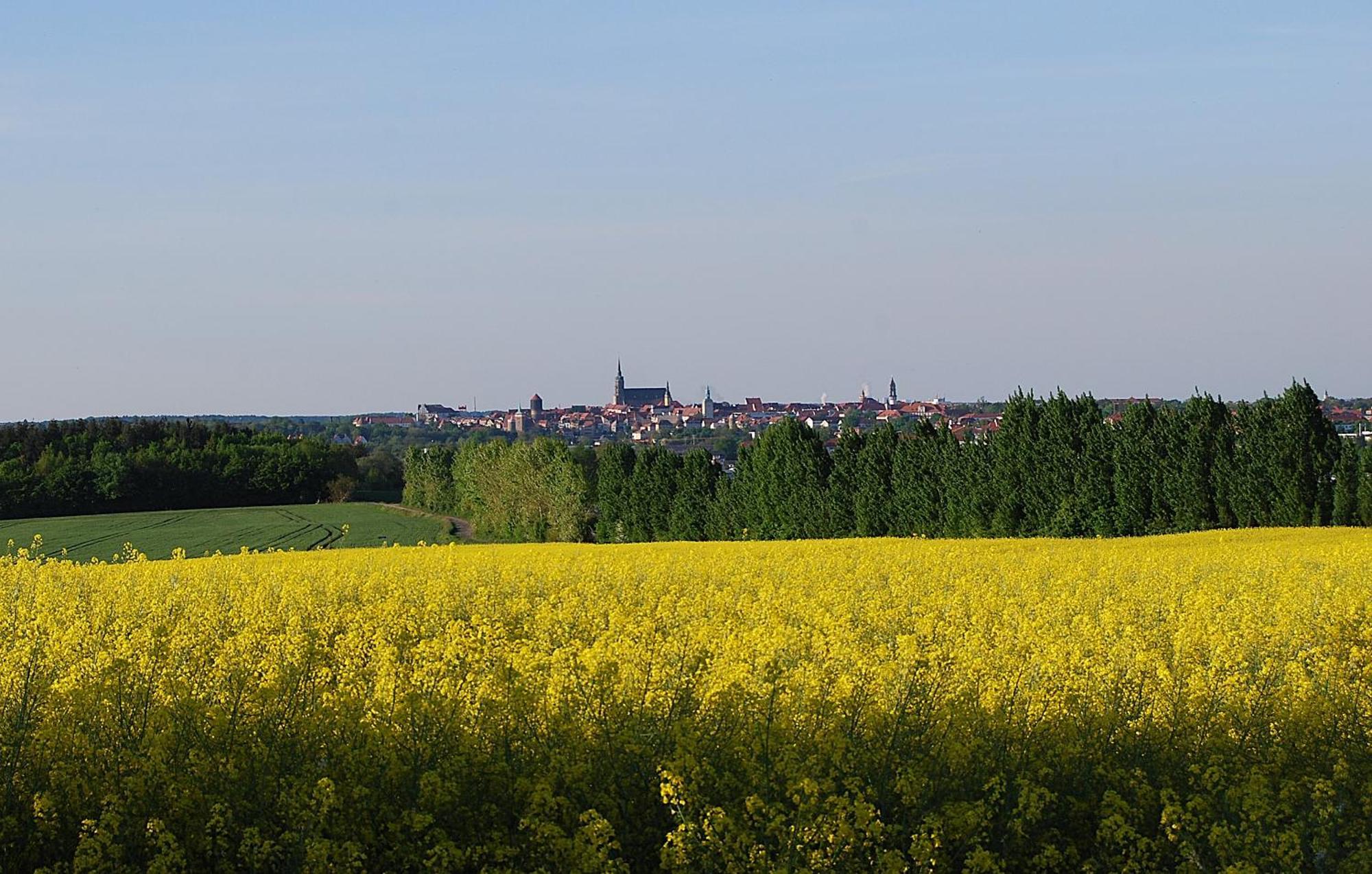 Fewo Geborgenheit Asza Mit Strahlungsfreien Zonen Bautzen Dış mekan fotoğraf